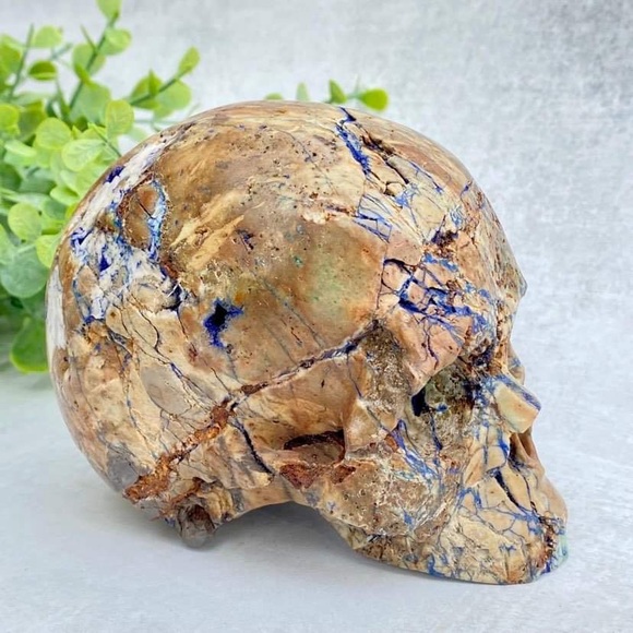 GEMSTONE 4.7" AZURITE & MALACHITE Carved Skull - Picture 7 of 11